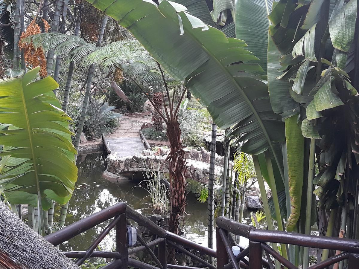 Moholoholo Ya Mati Guest House Kampersrus AH Exterior photo